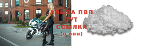 хмурый Верея