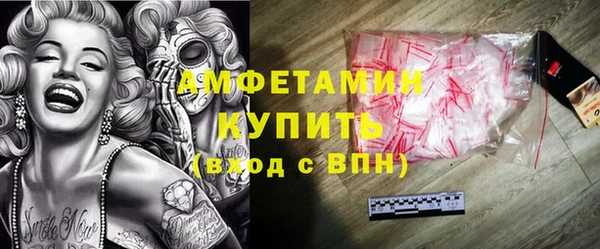 прущие грибы Верхний Тагил