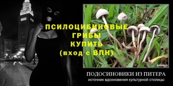 спайс Горнозаводск