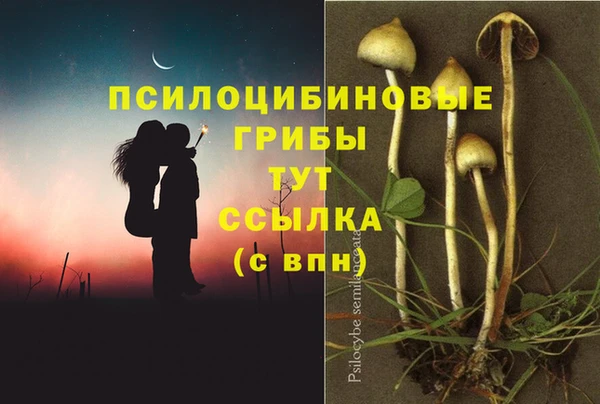 герыч Дмитровск