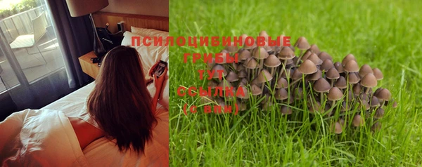 кристаллы Горняк