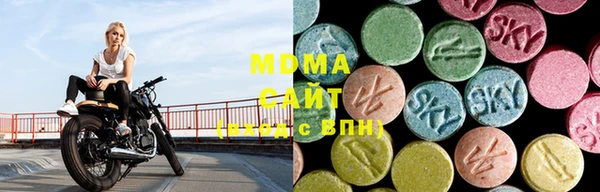 прущие грибы Верхний Тагил