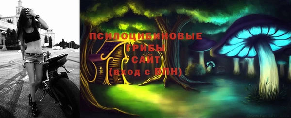 спайс Горнозаводск